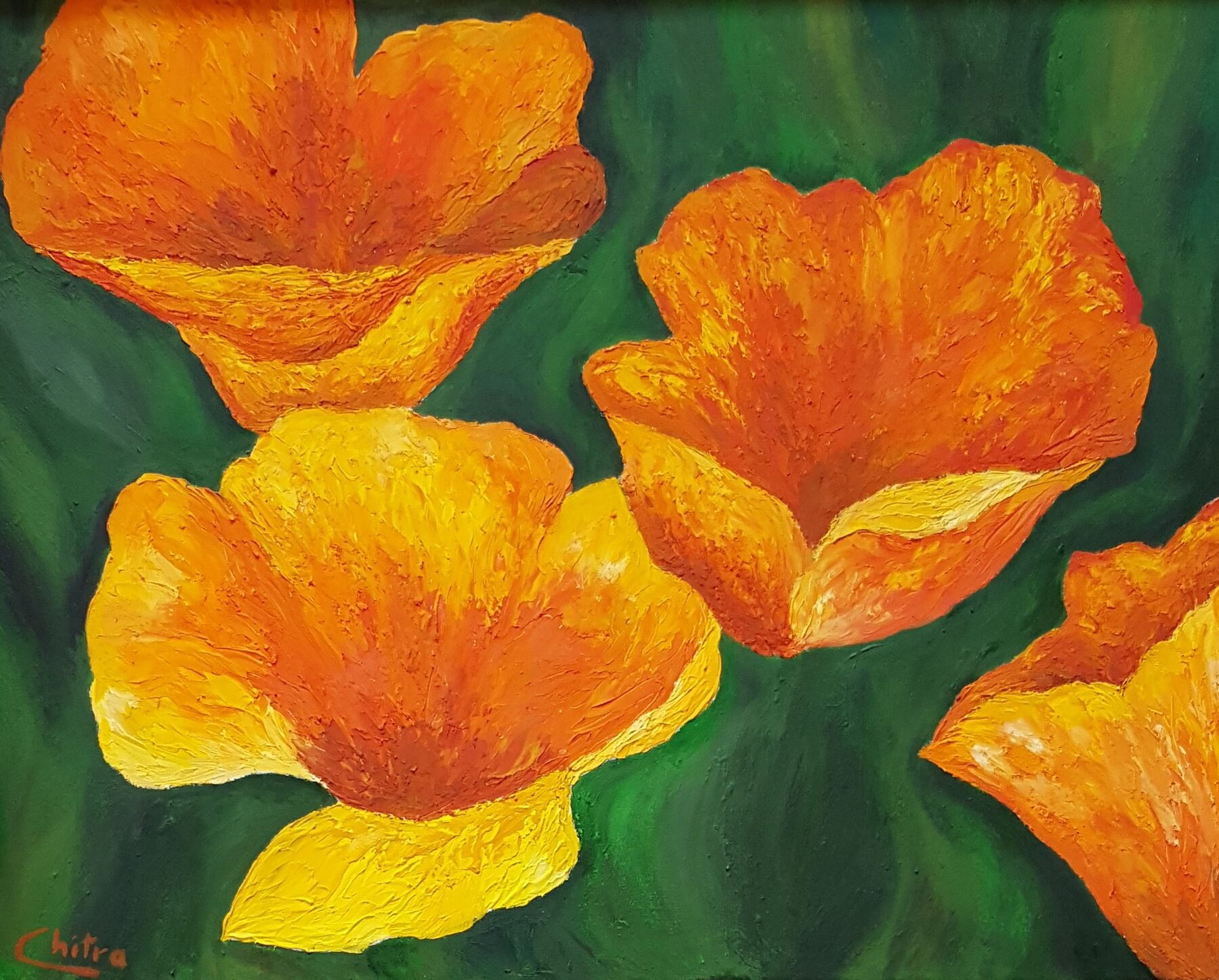 Golden Poppy Blaze by Chitra Nayak