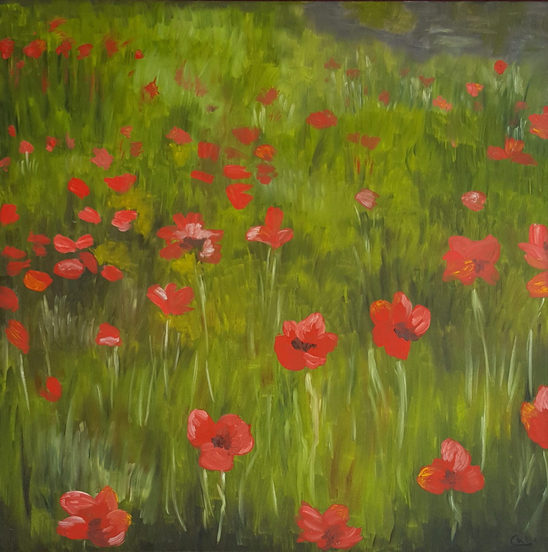 Poppies in the Wind by Chitra Nayak