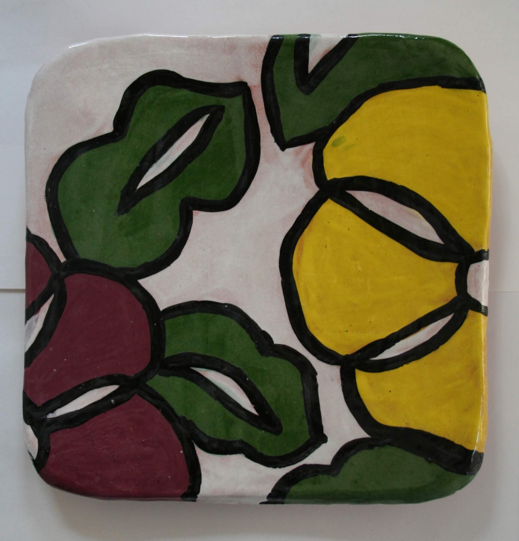 Fig & Sunlight by Chitra Nayak