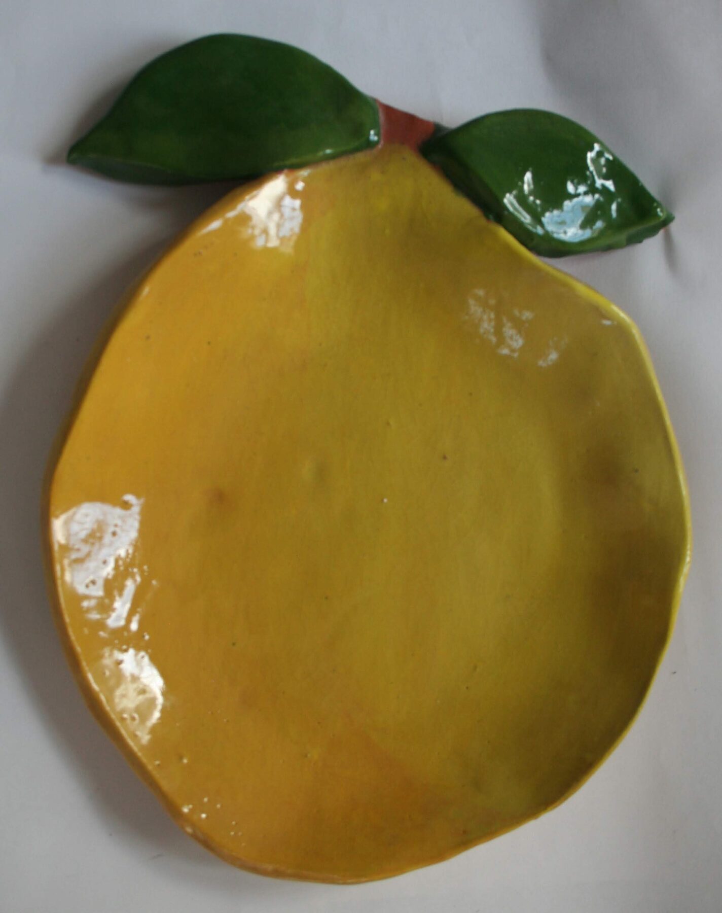 Sunkissed Lemon by Chitra Nayak